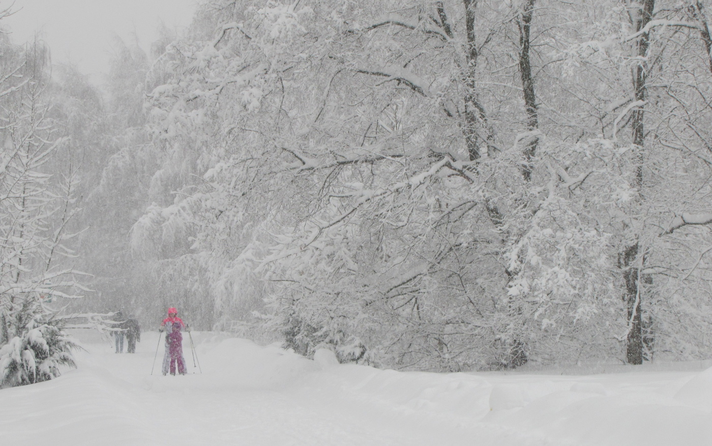 Прогулка в парке.