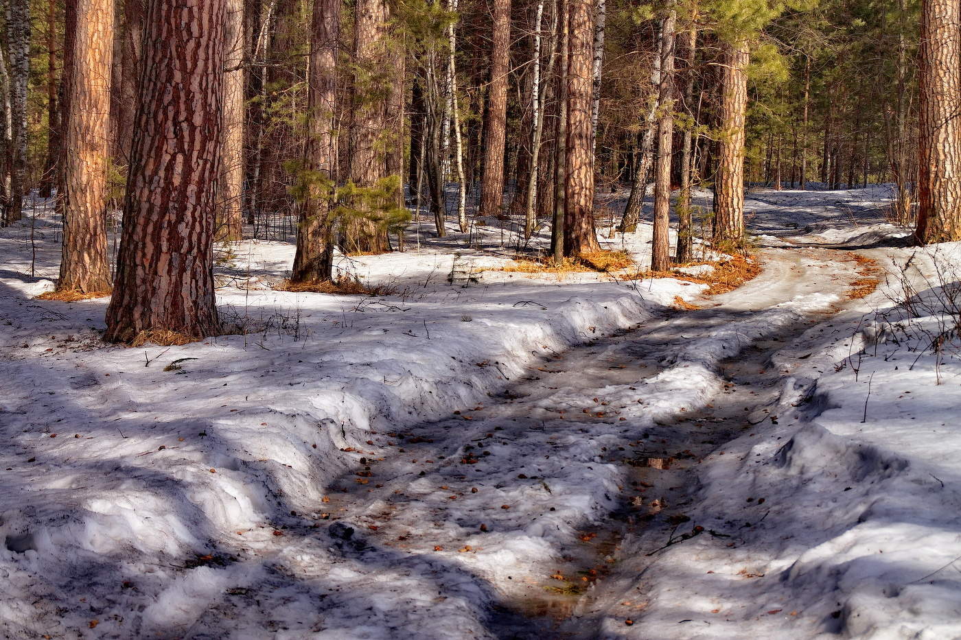 *Начало весны.**
