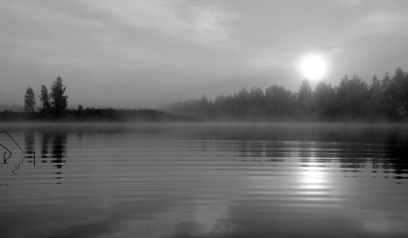 Утро в Полесье