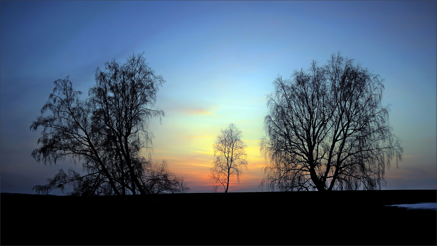 Весенние силуэты