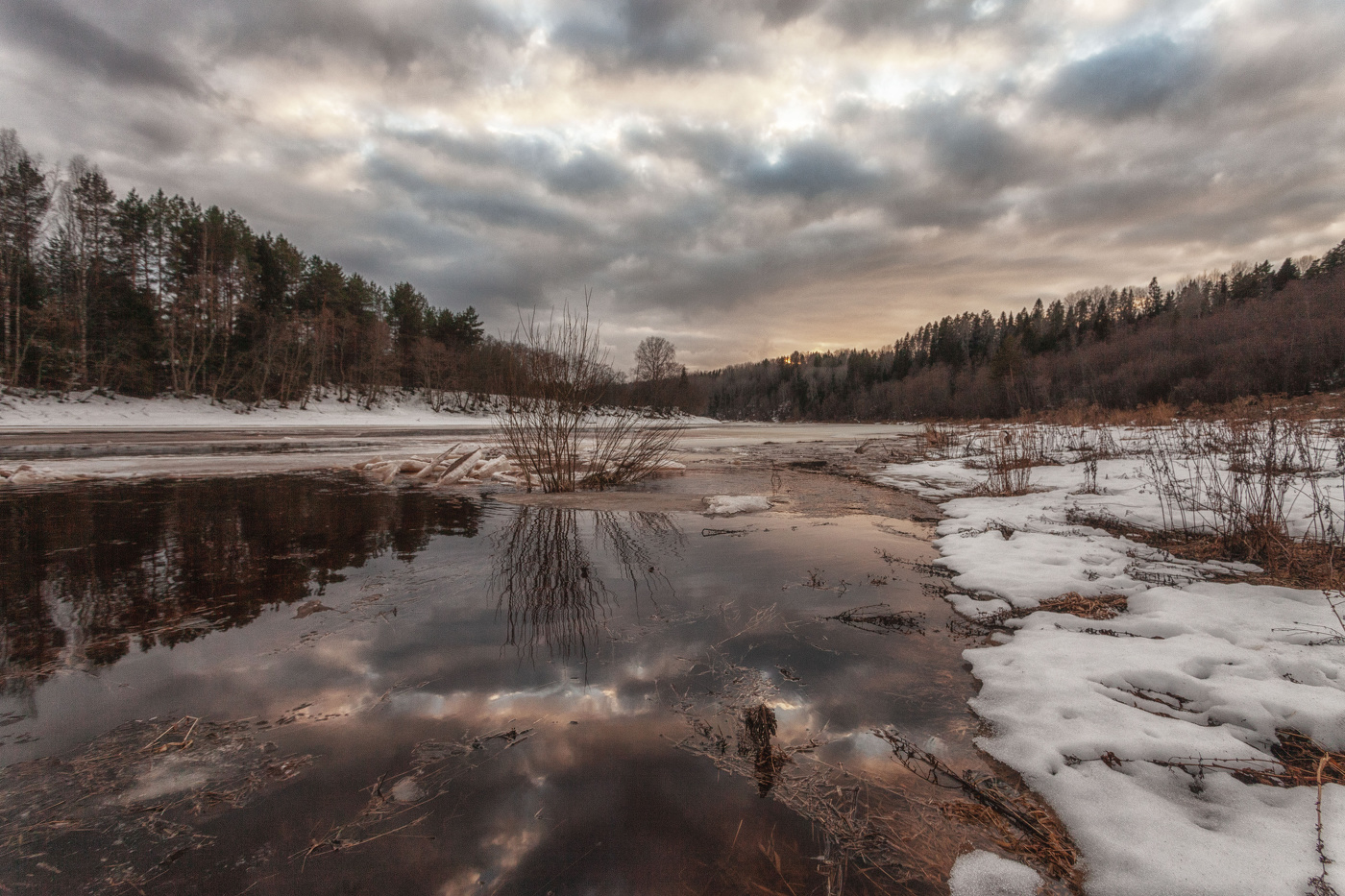 Жизнь вокруг