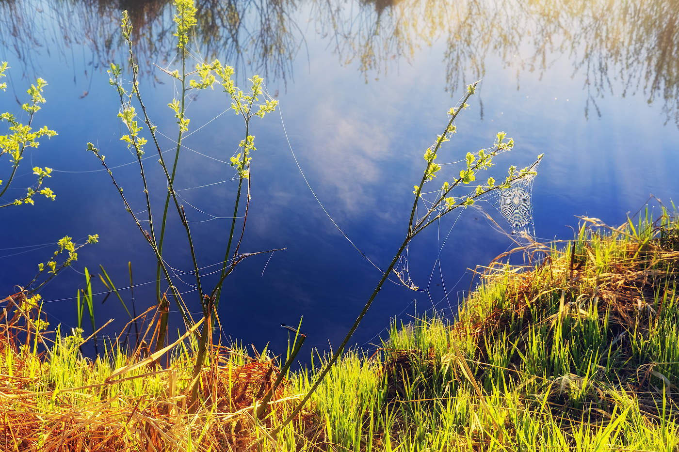 Майский рассвет на реке