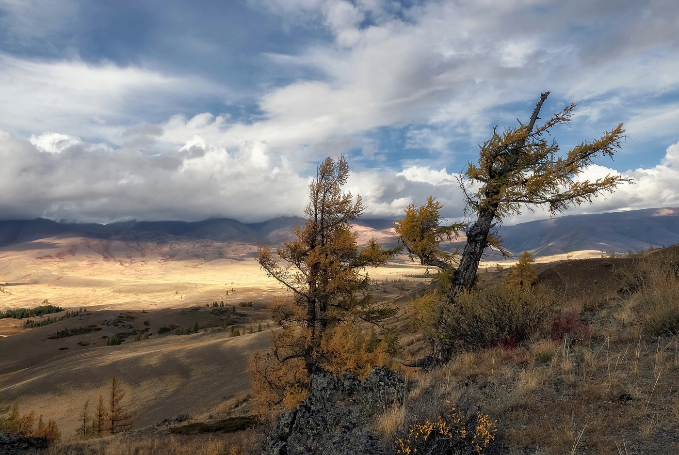 Алтайская непогода