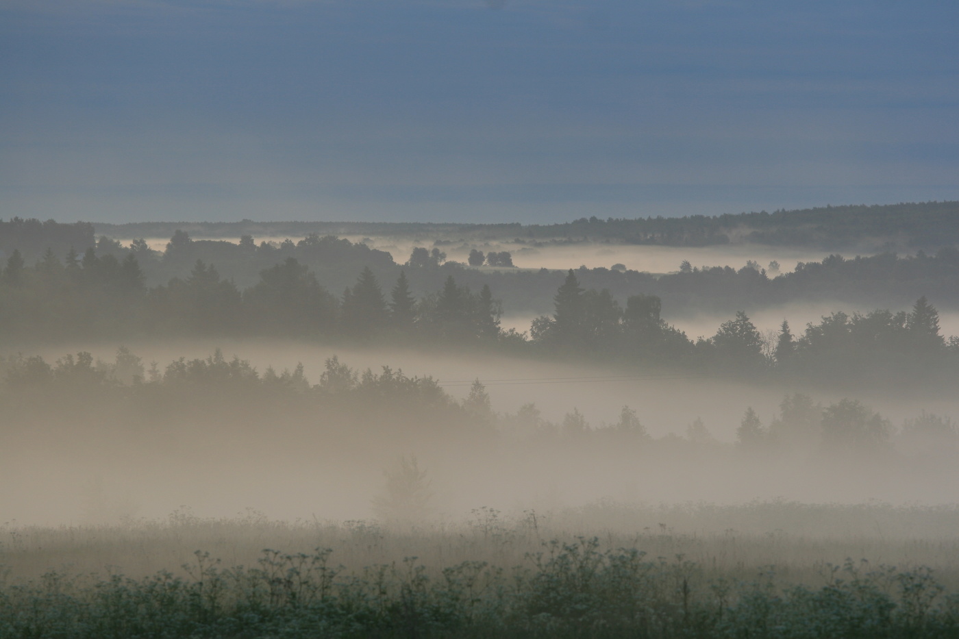 Туманы...