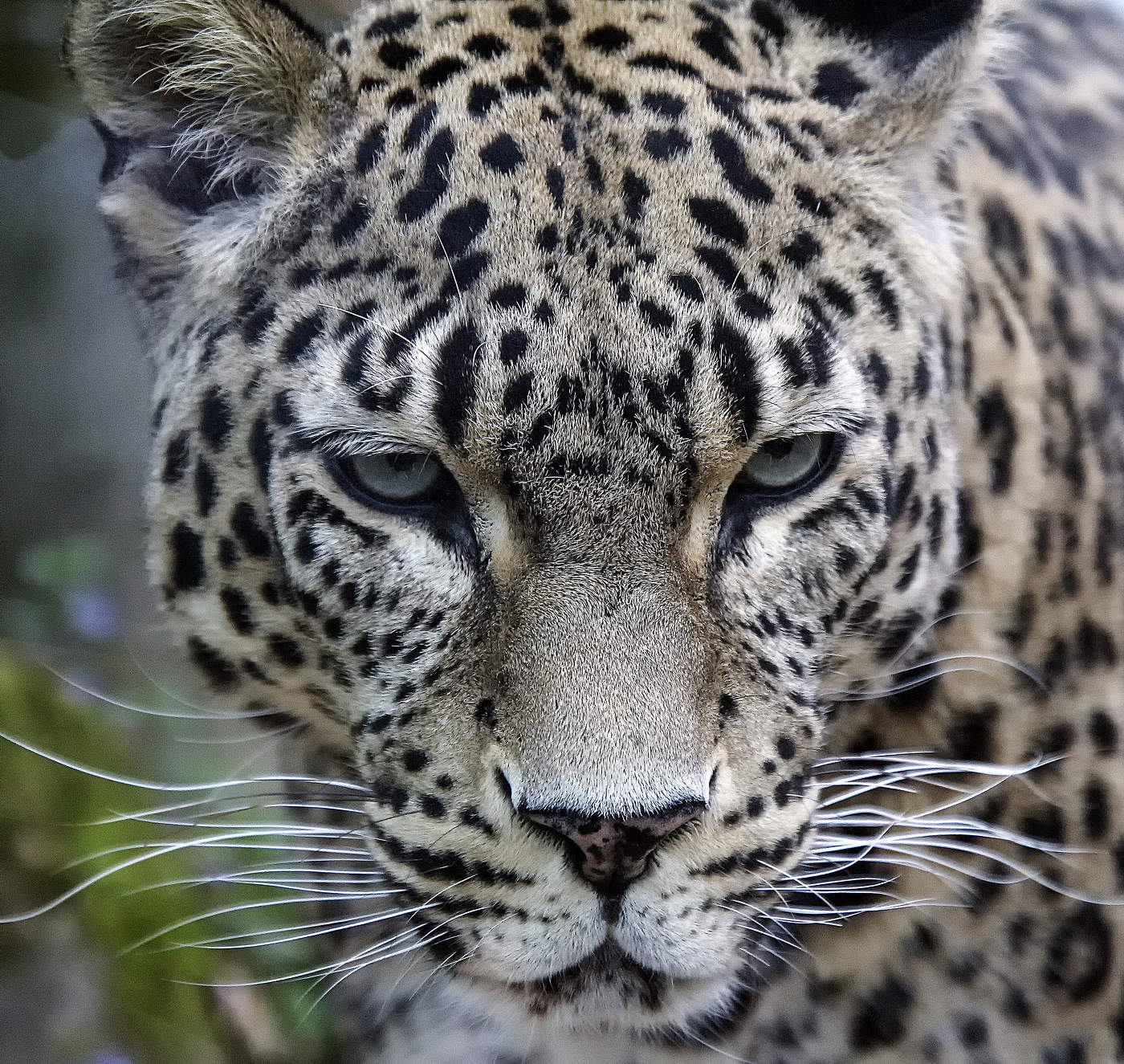 Ты хорошо подумал, прежде чем меня снимать