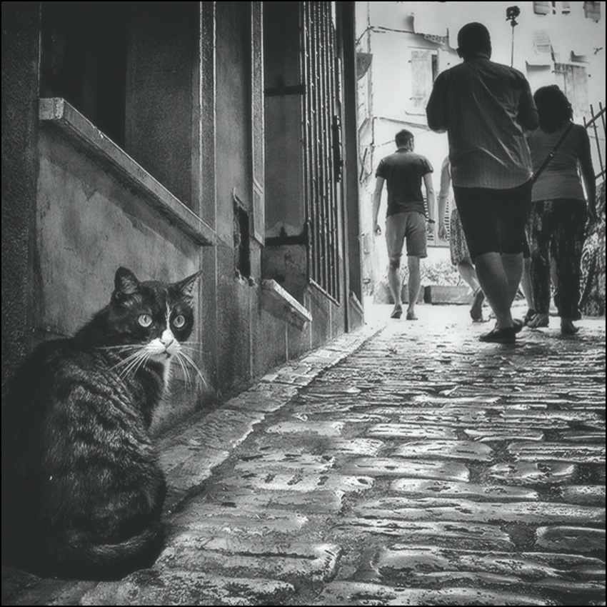 Сканирование./... фейс-контроль/