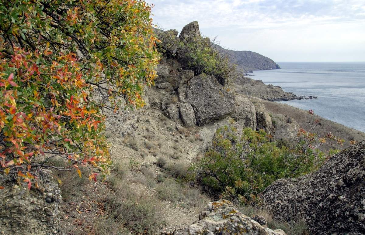 Крым. Осень.