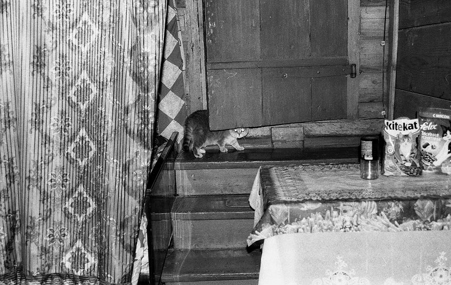 Есть ли жизнь на марсе