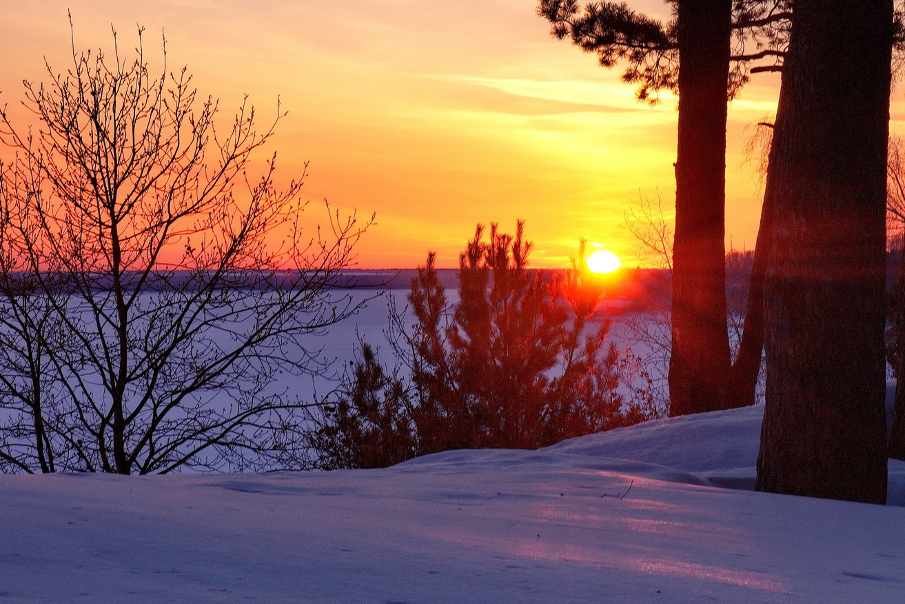 *В лучах заката.**