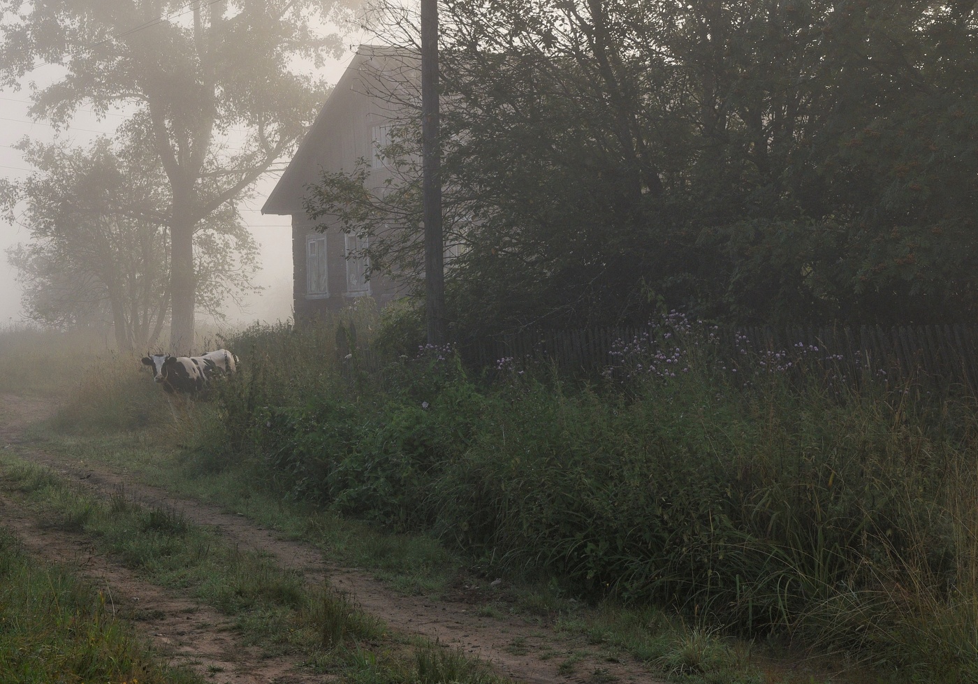 Раннее утро ...