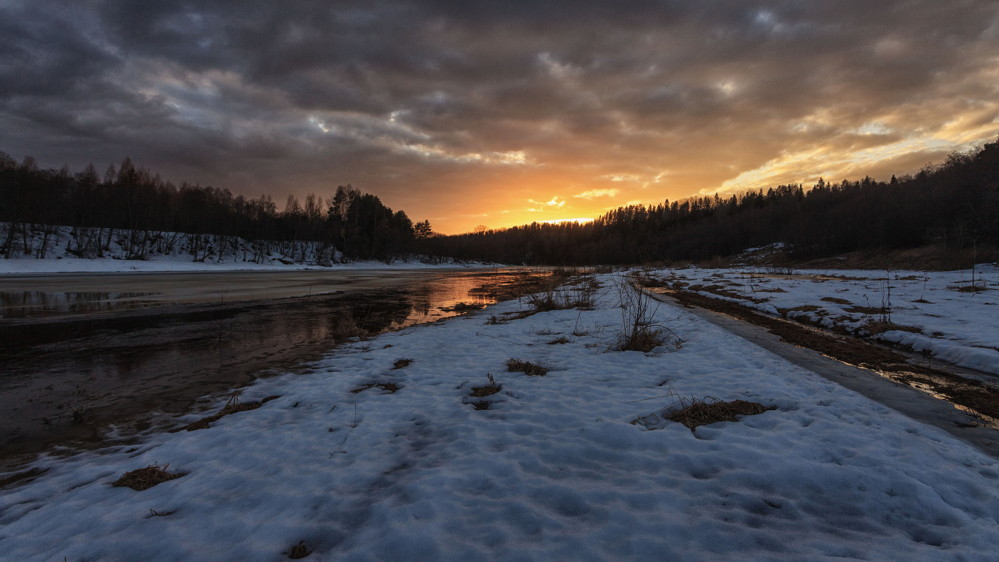 Жизнь вокруг