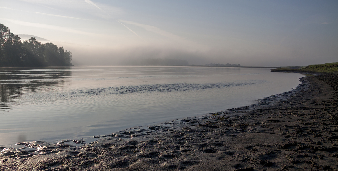 Вспоминая лето на Оке