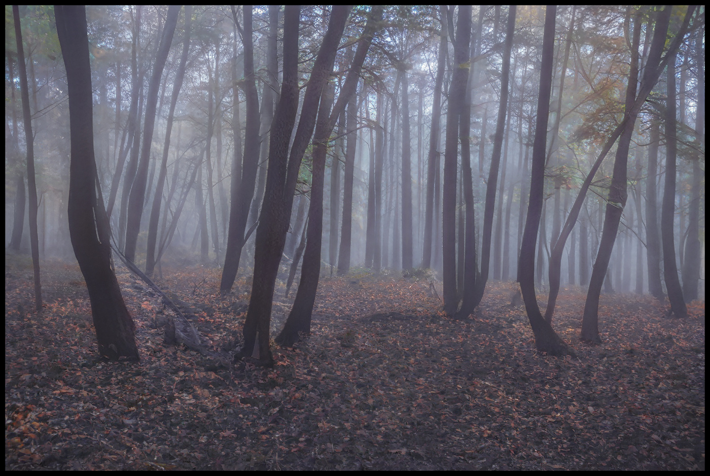 Осенние зарисовки