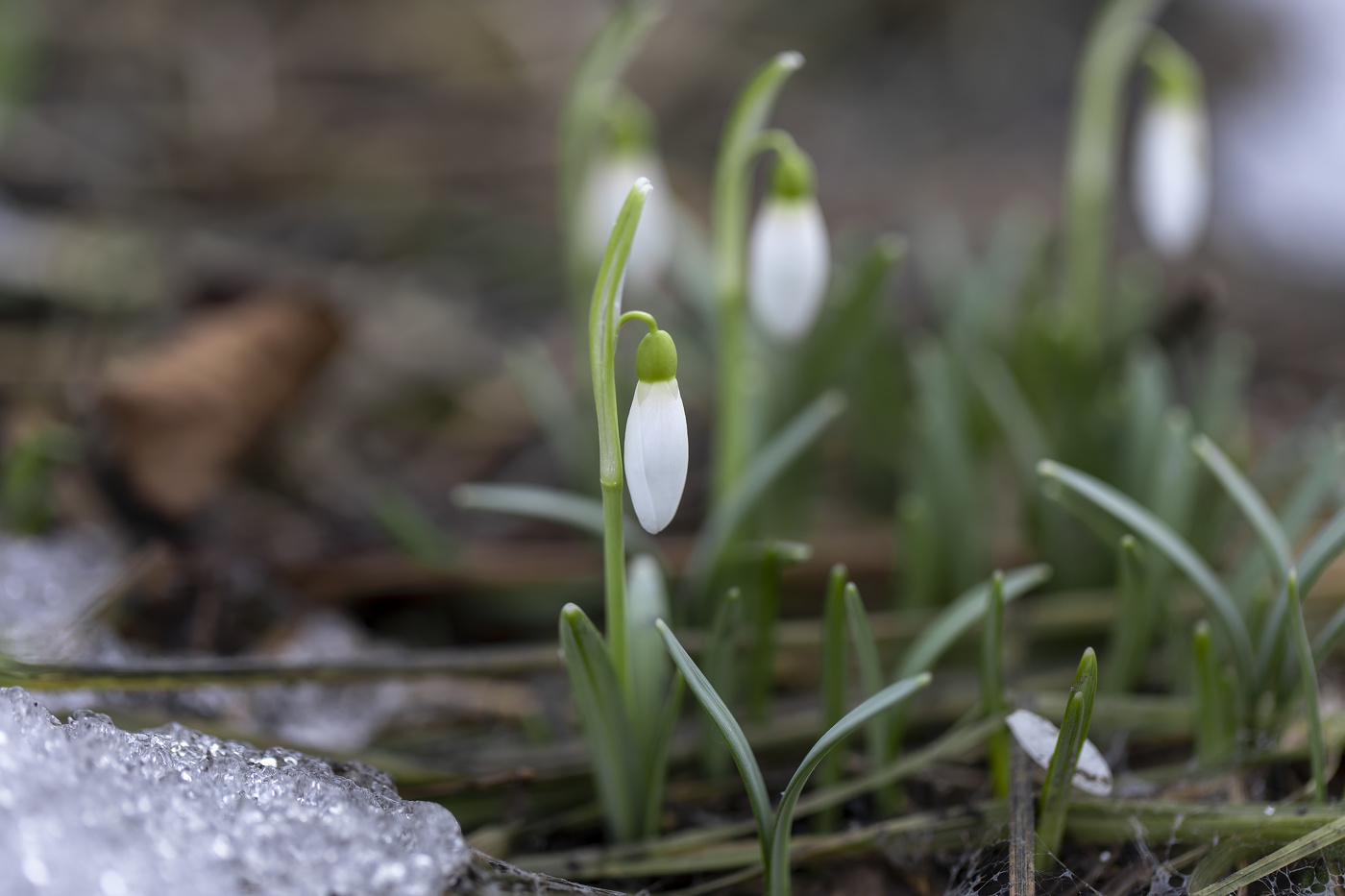 Самые первые....самые смелые