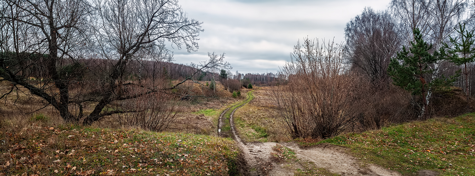 Туда и обратно.
