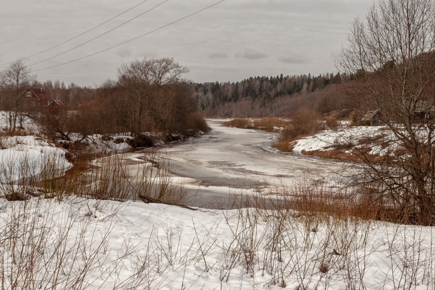 Жизнь вокруг