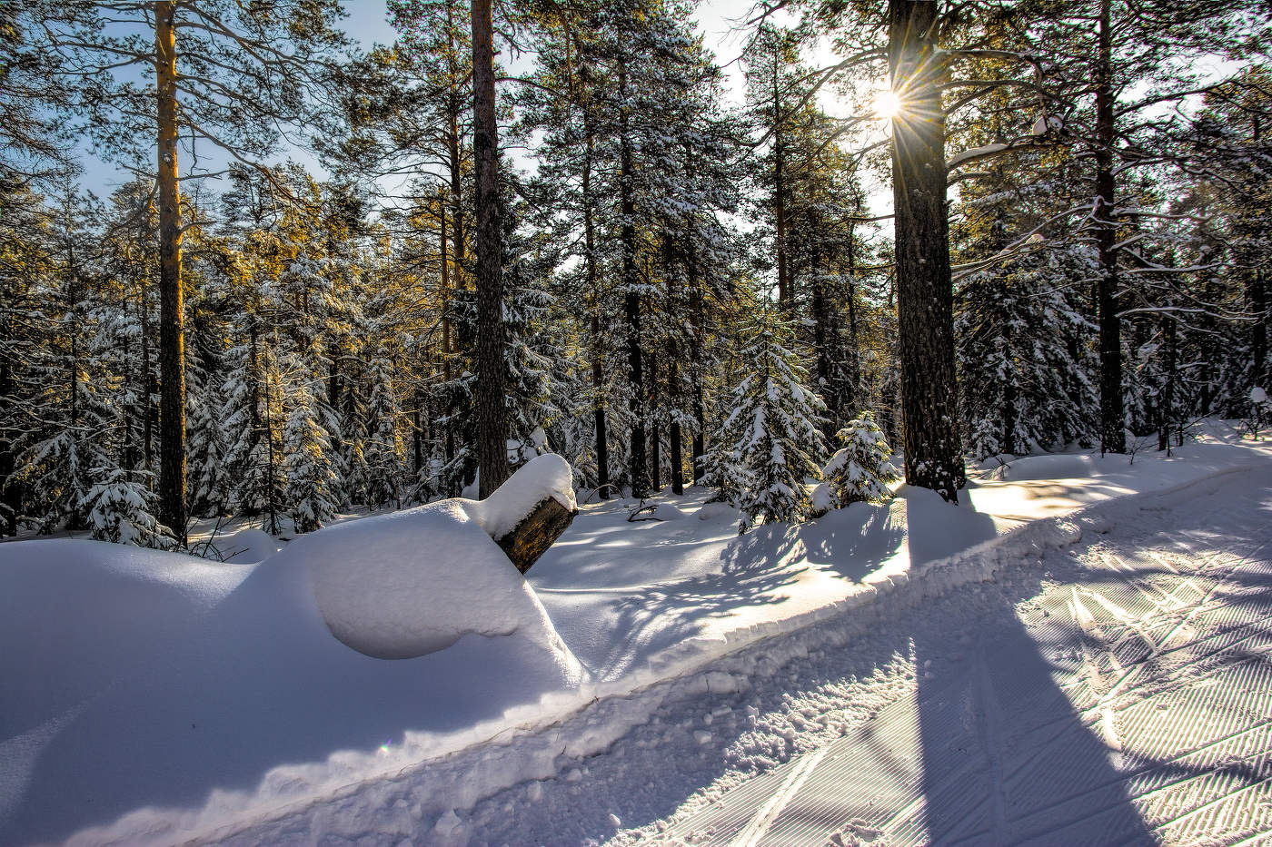 Полуденные тени