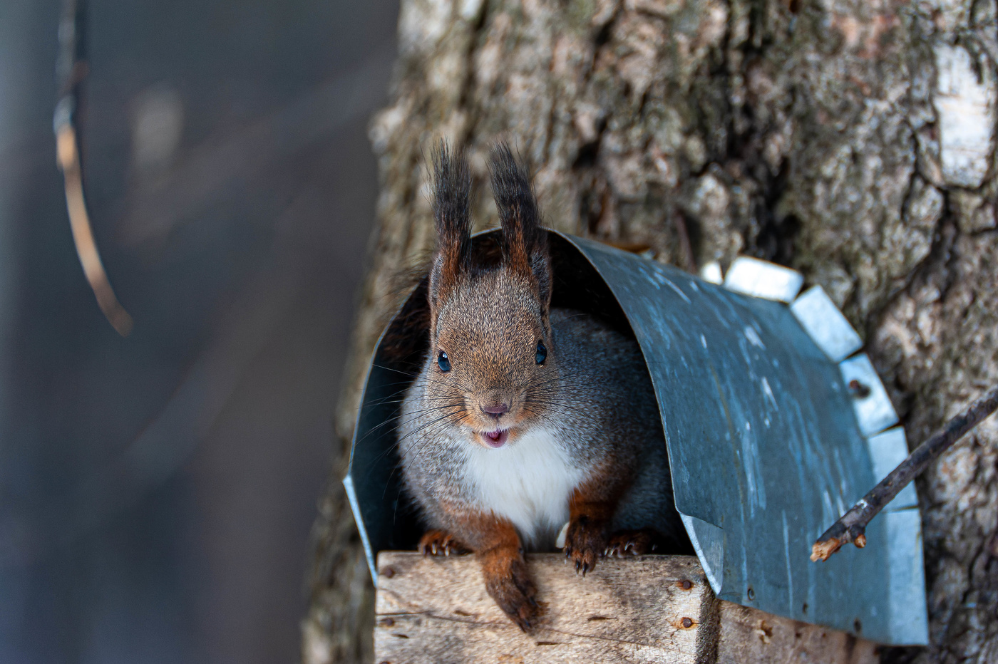 Долго ещё мне улыбаться? - Снимай быстрее, уже.