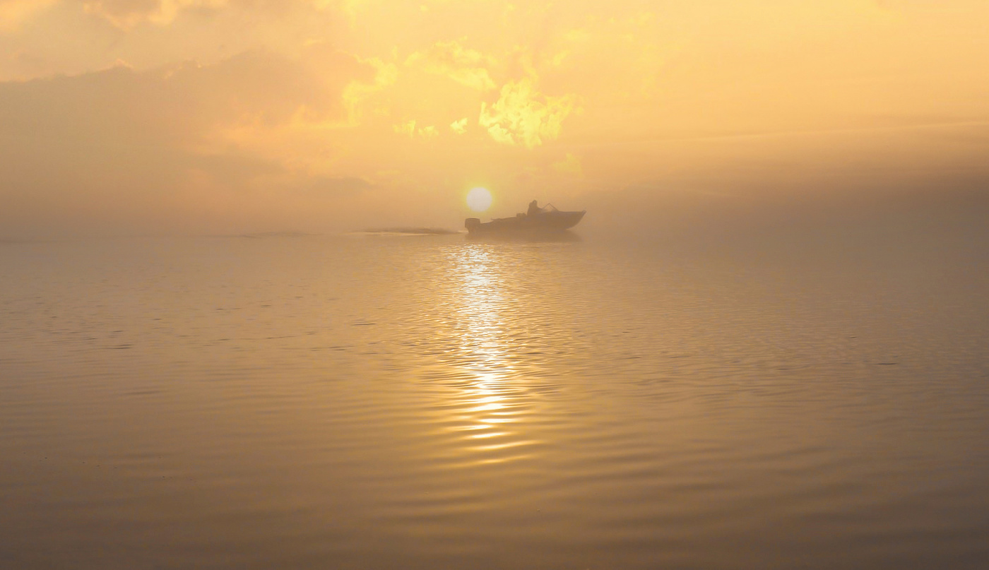 За тонкой вуалью тумана.