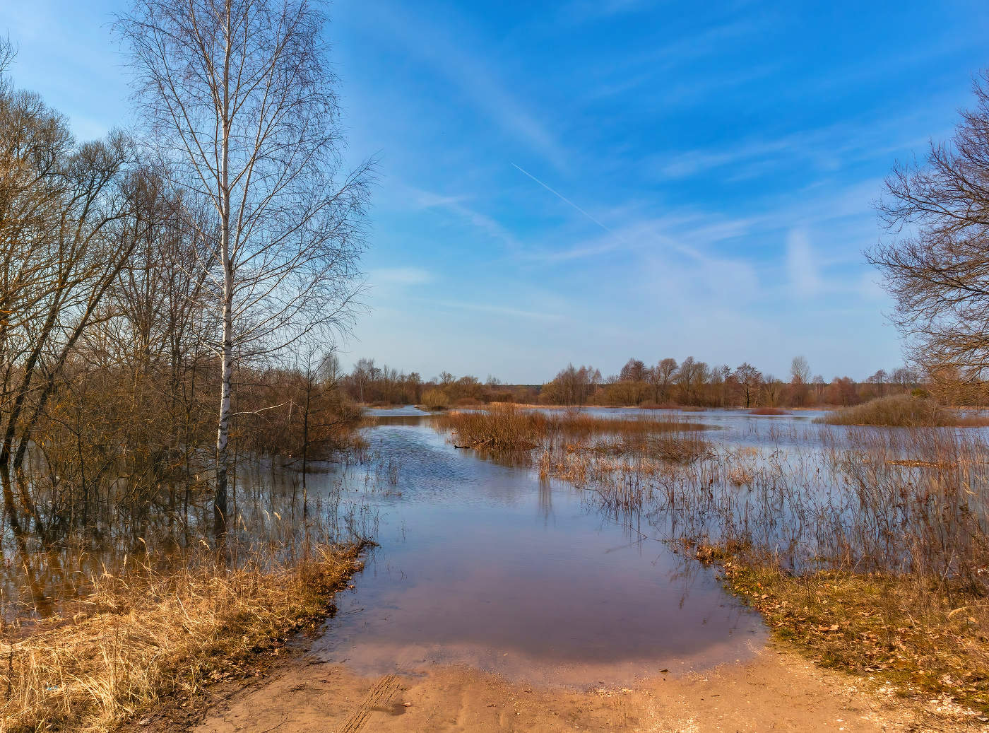 В глубину весенних вод.