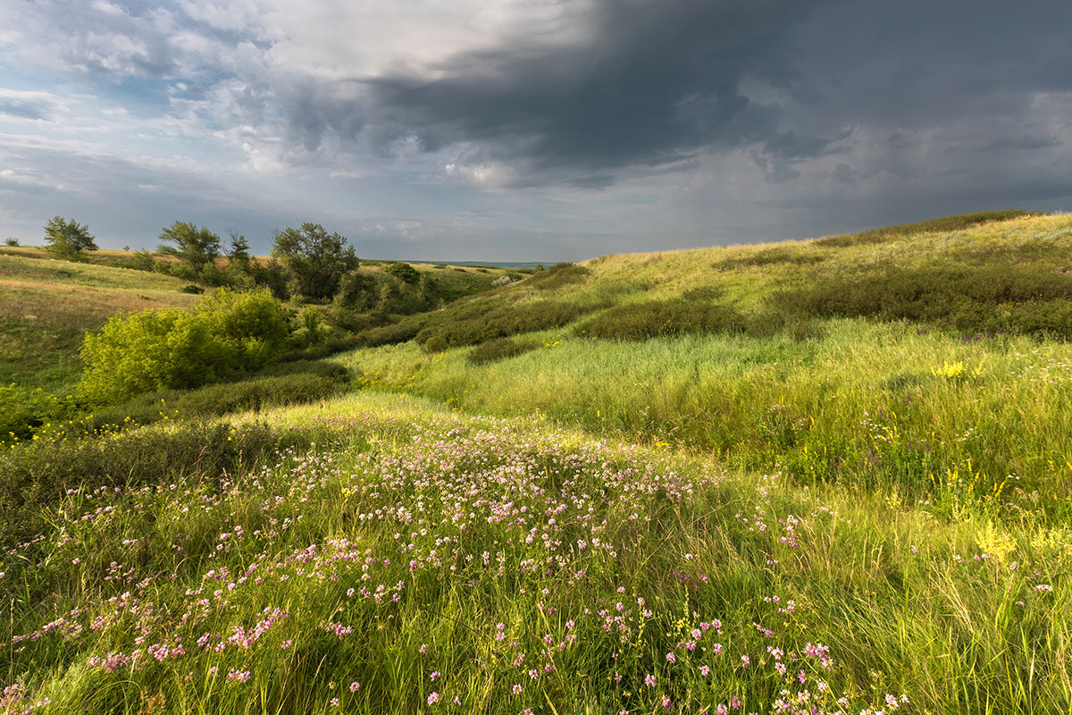 Дождь заходит