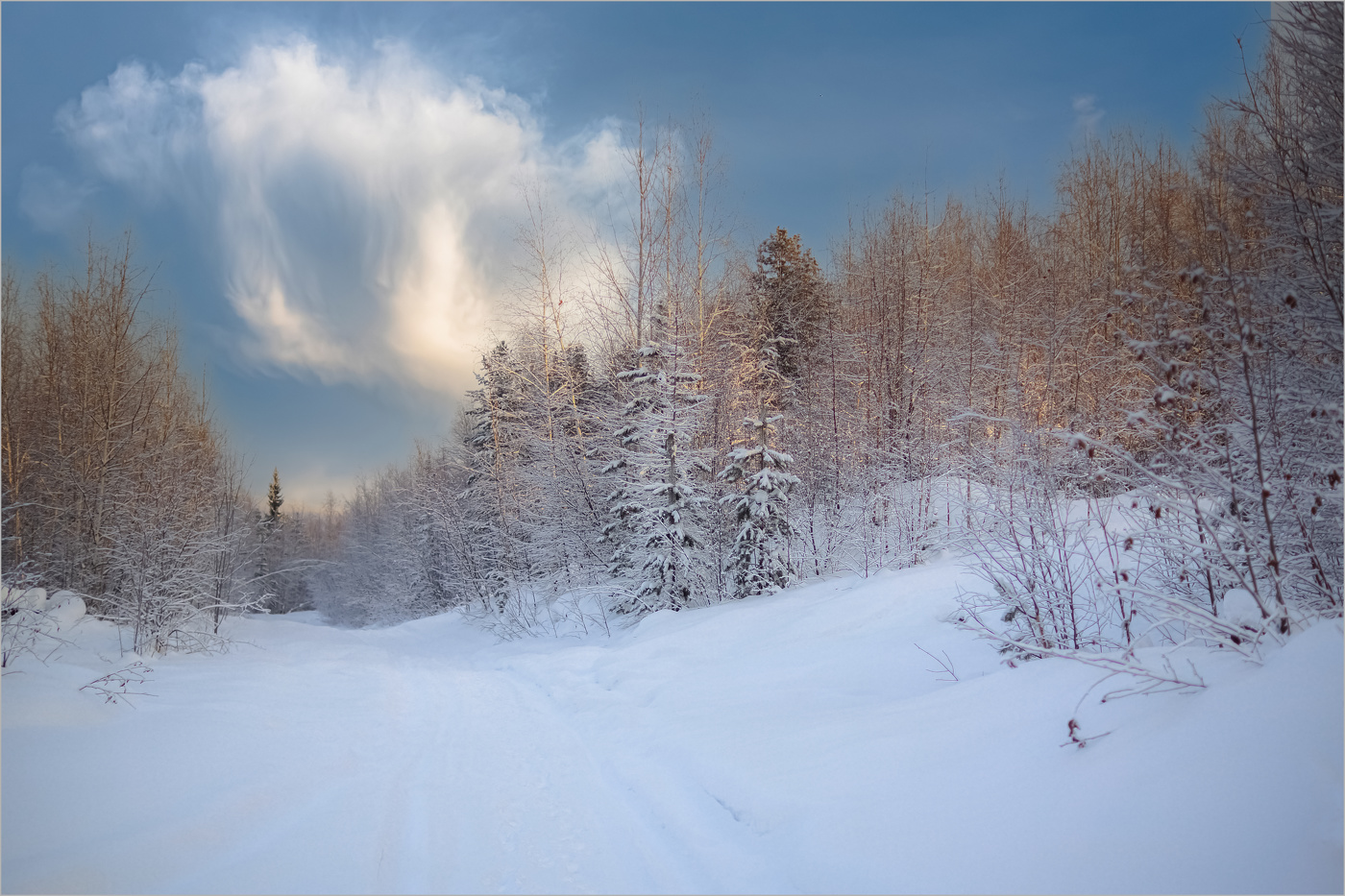 Зимняя дорога