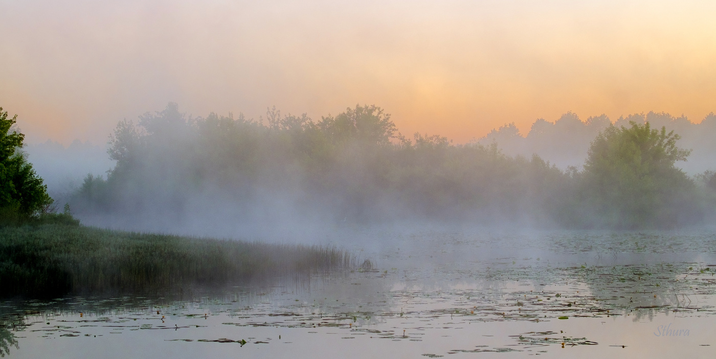Туман на озере Сосновое.