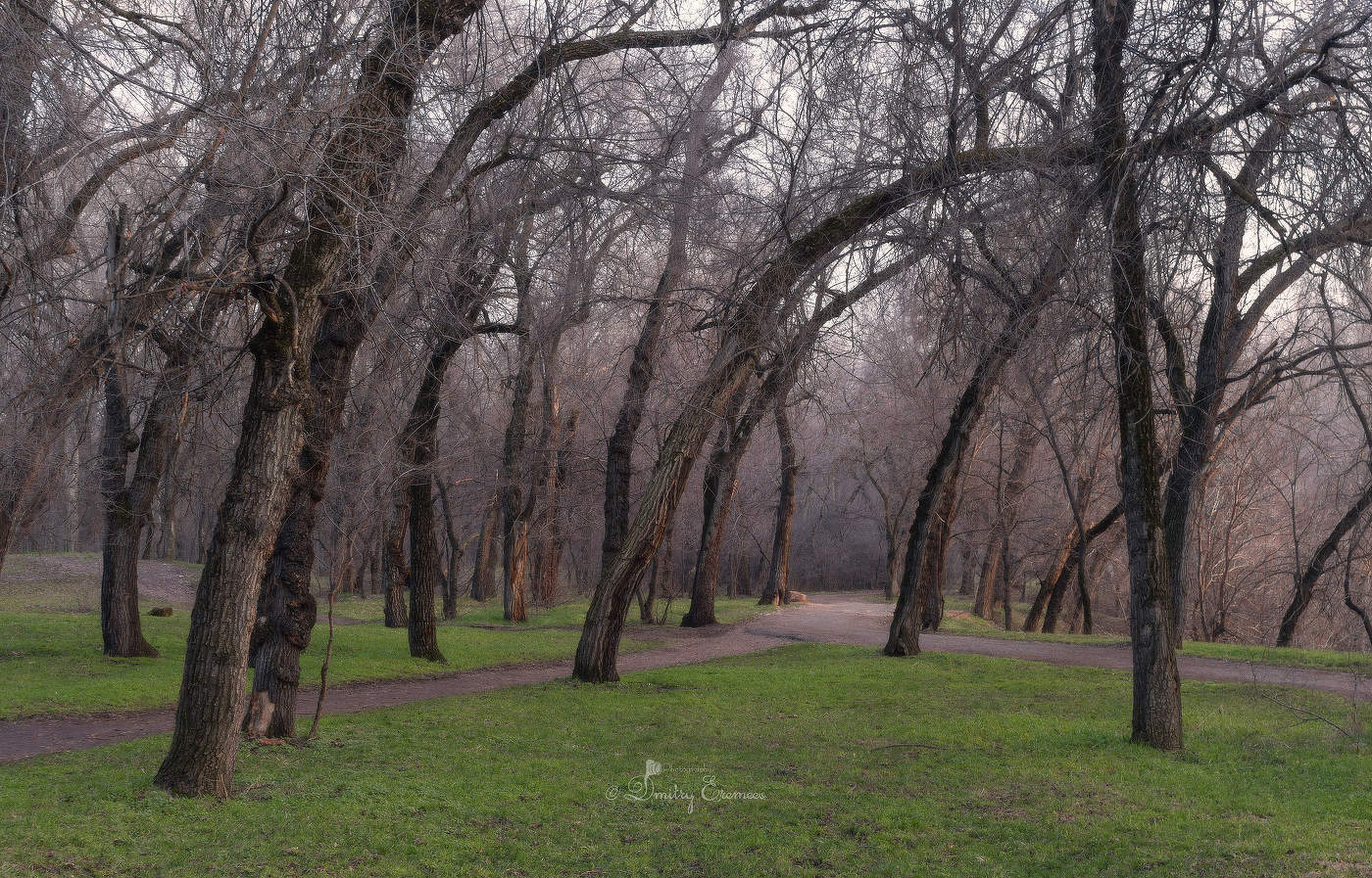 Дыхание весны...