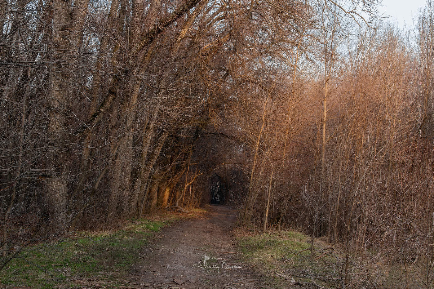 По протоптанной тропе...