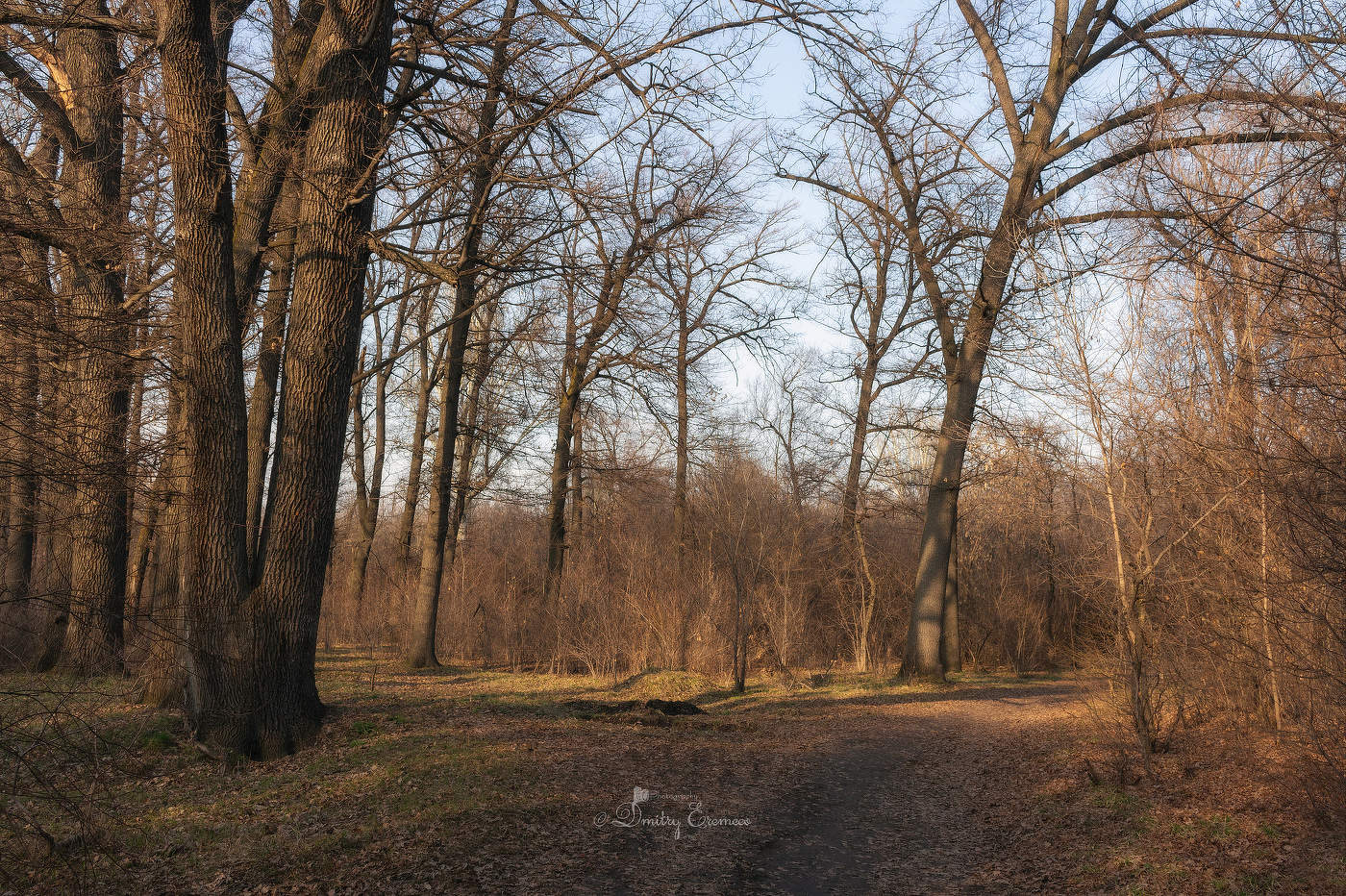 С каждым днём дыхание весны становится сильнее...
