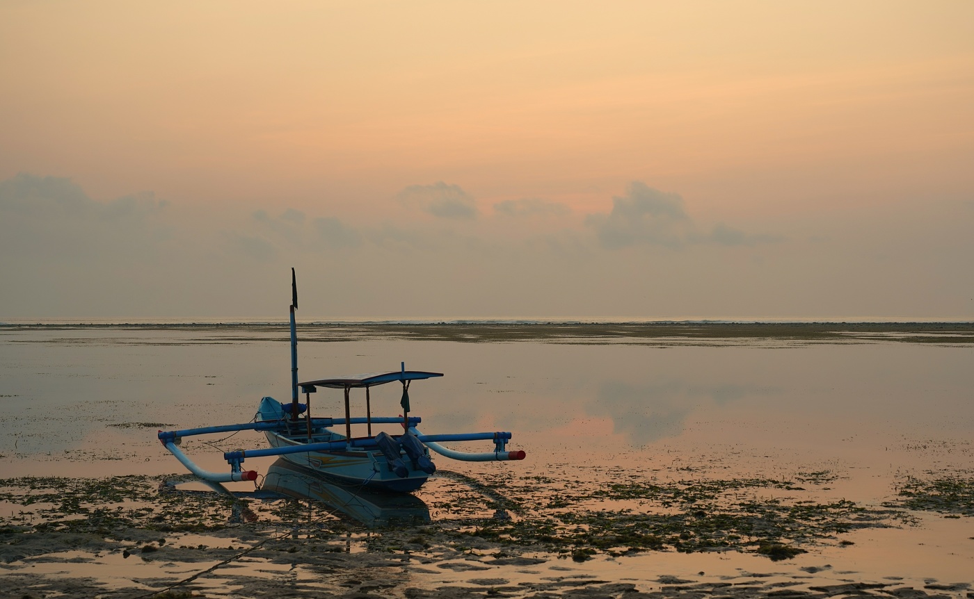 Нежное утро