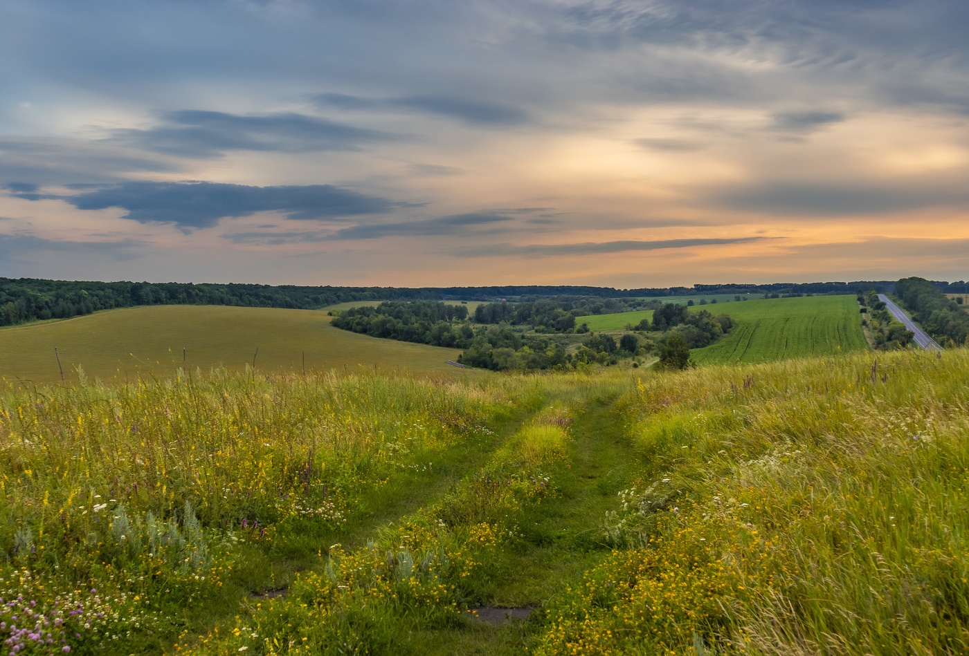 К тёплым летним небесам.