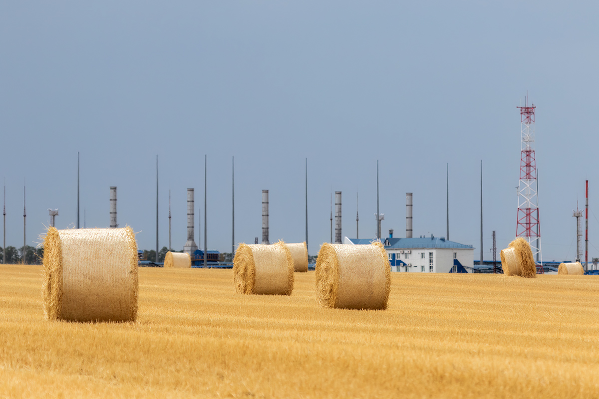 Серп и молот