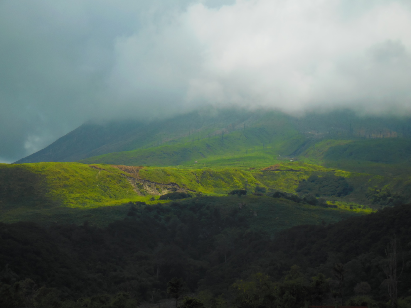 В путешествии
