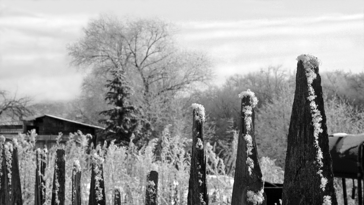 Иней, свежий пушистый...