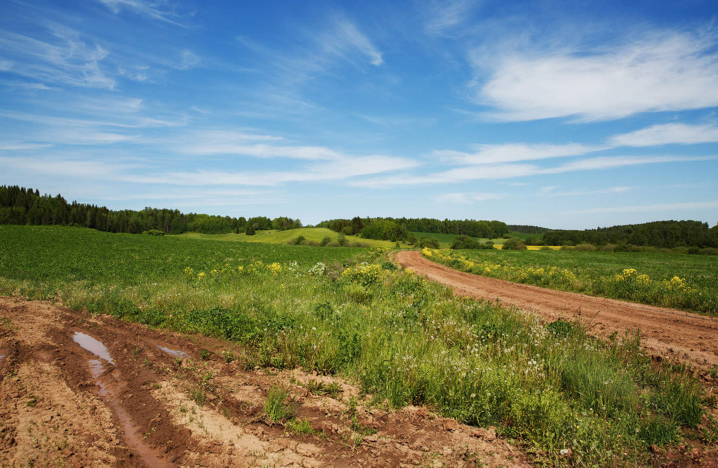 "Пермские просторы".