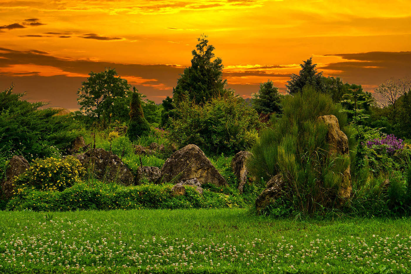 Утро в ботаническом саду КФУ