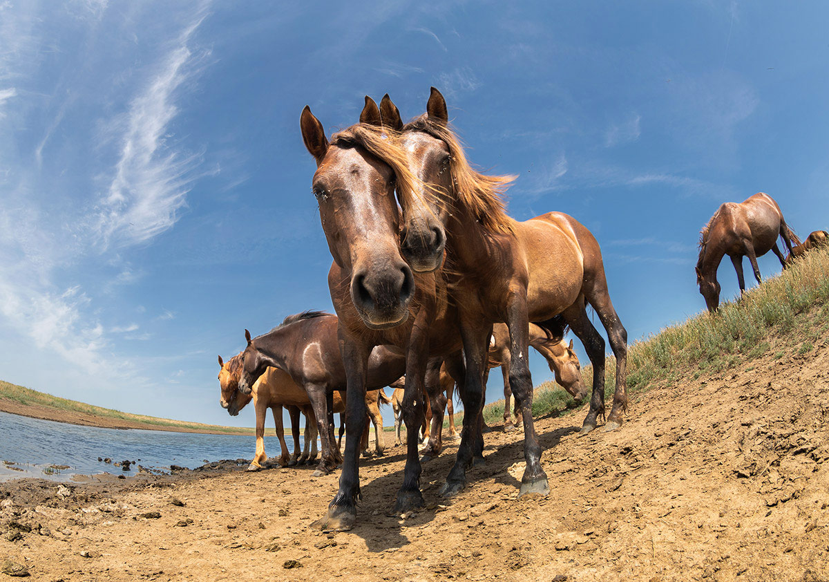 А сфоткай нас вместе?