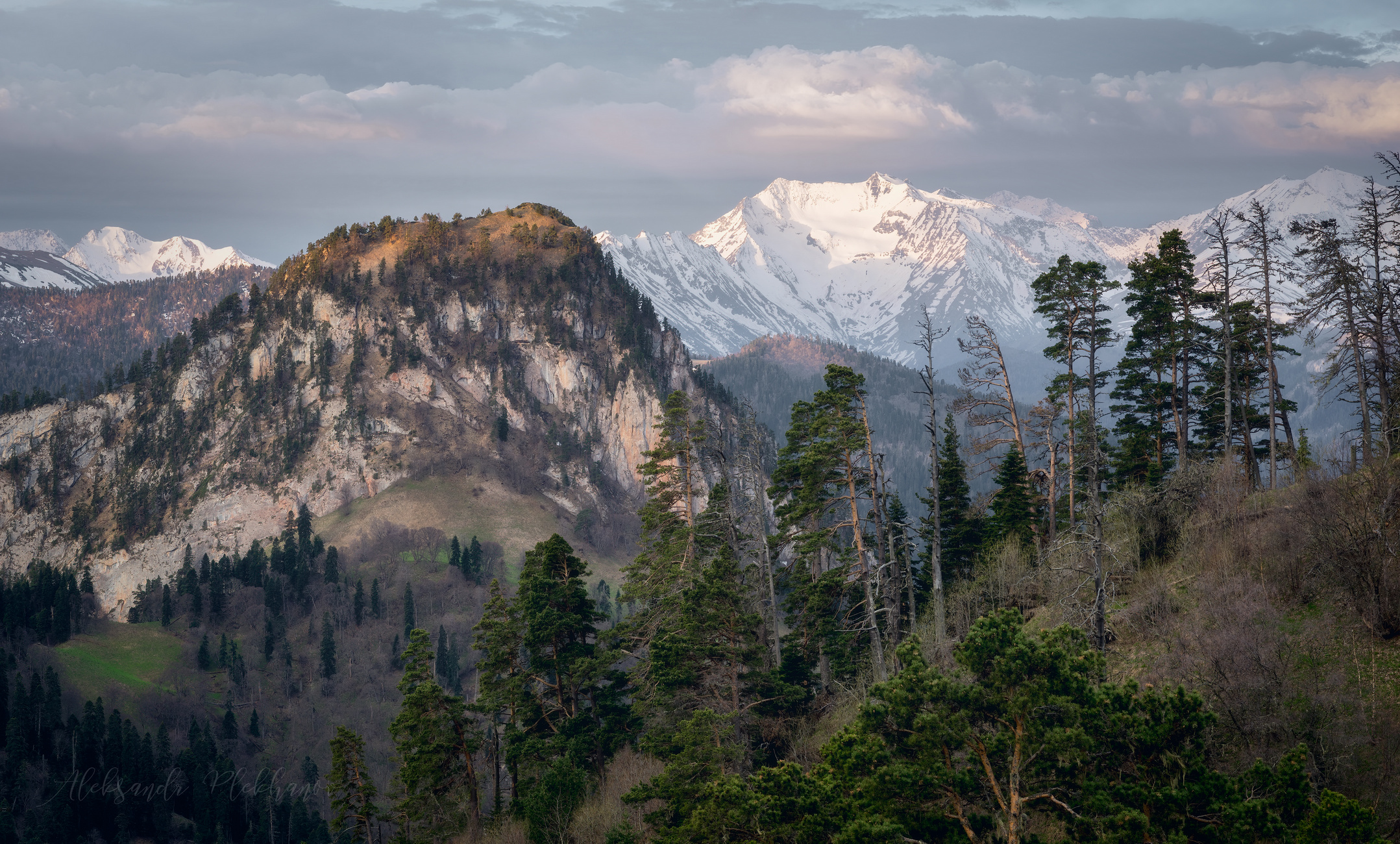 Майское утро