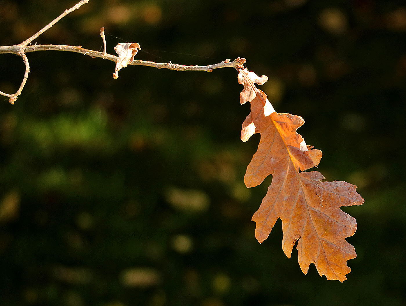 Последний...