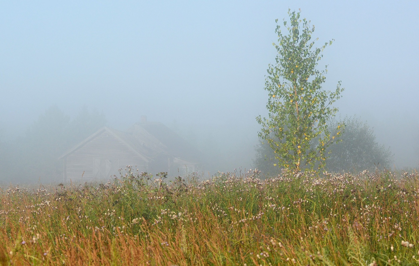 "Во поле березонька стояла ..."