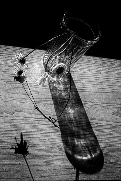 флешмоб на тему «Необычный ракурс». (№ 9).