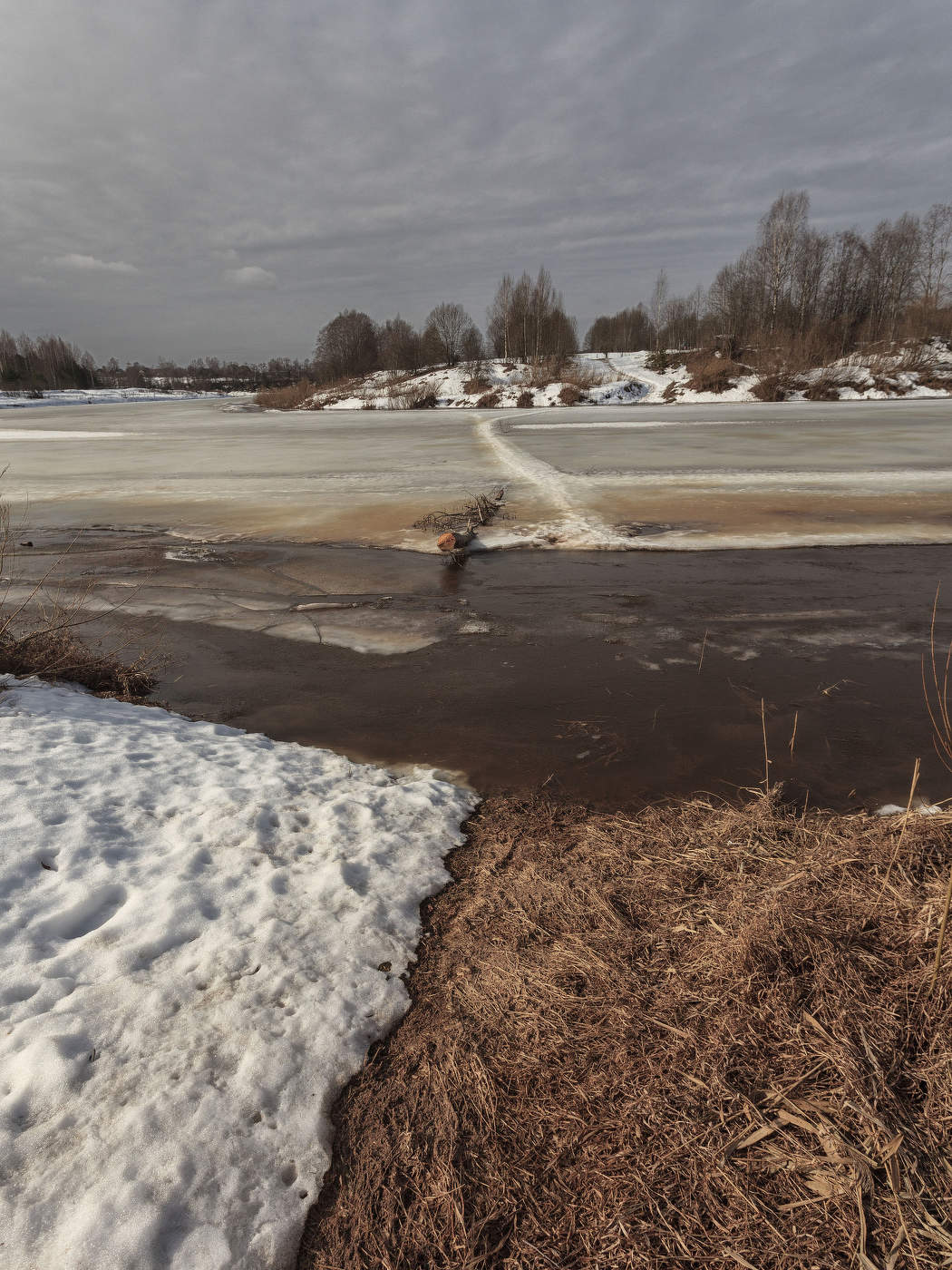 Жизнь вокруг