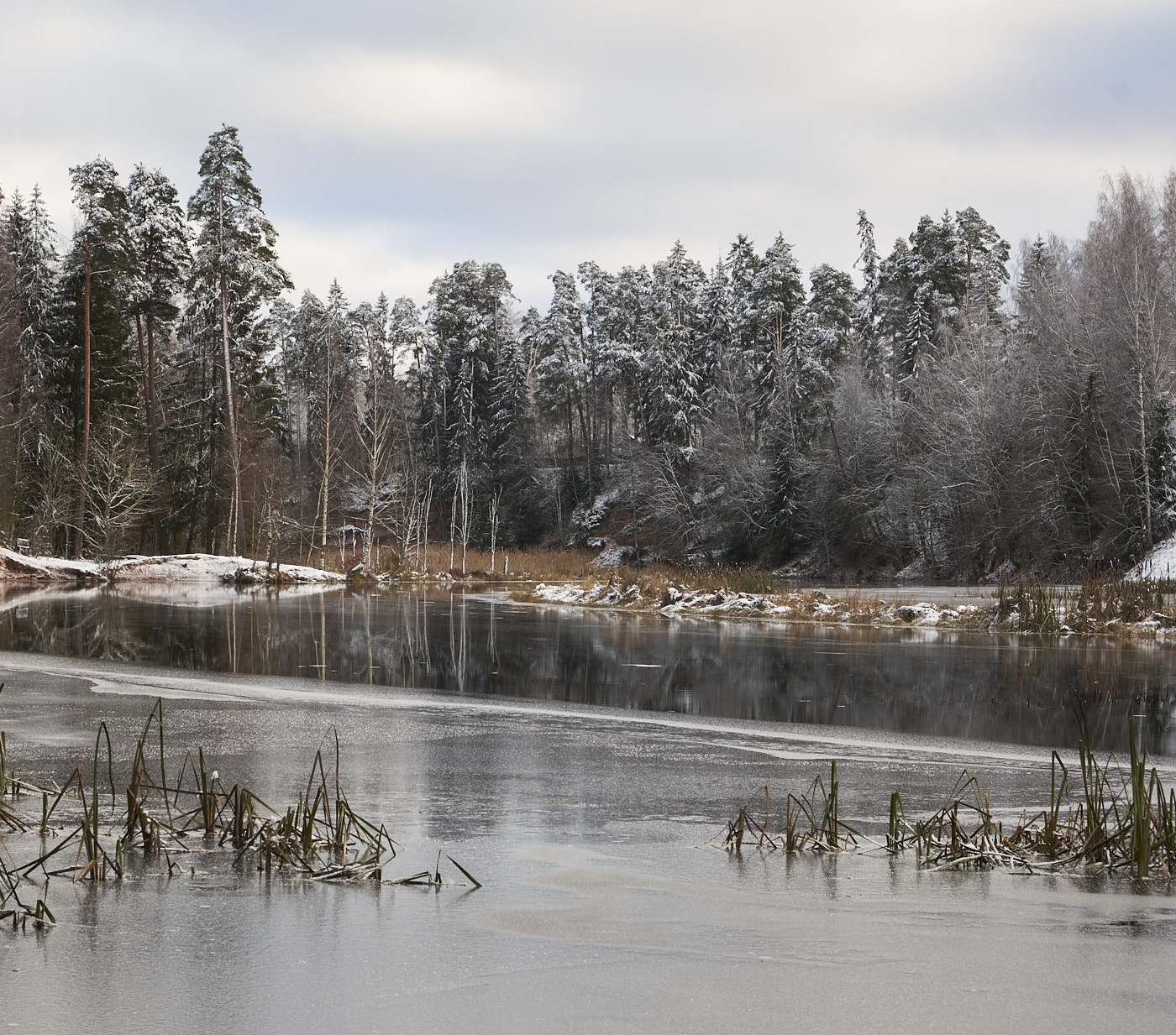 Почти замерзшая река