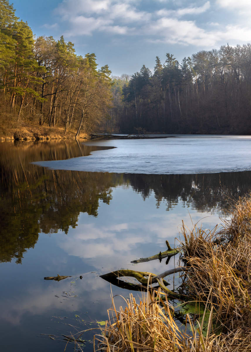 Весеннее утро.
