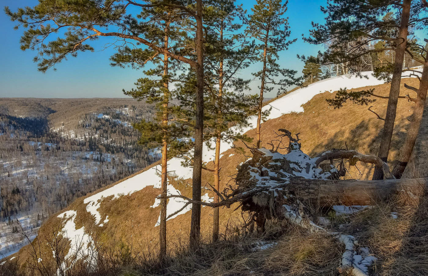 В начале весны