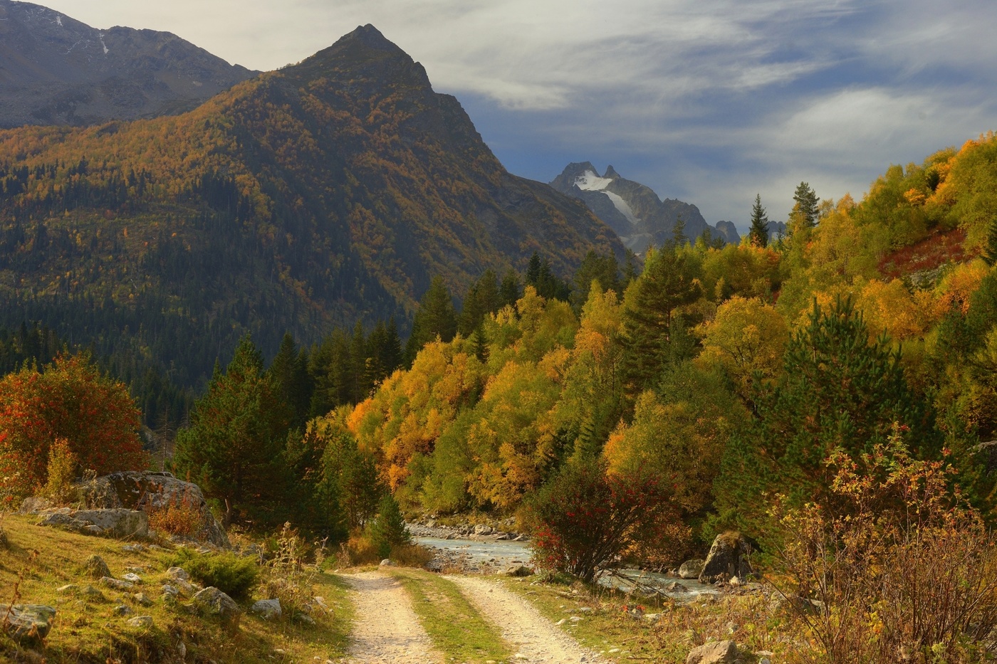 Осеннее утро