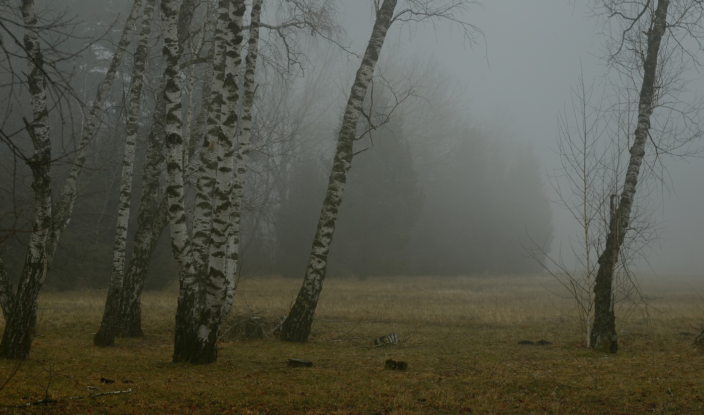 Туманное утро