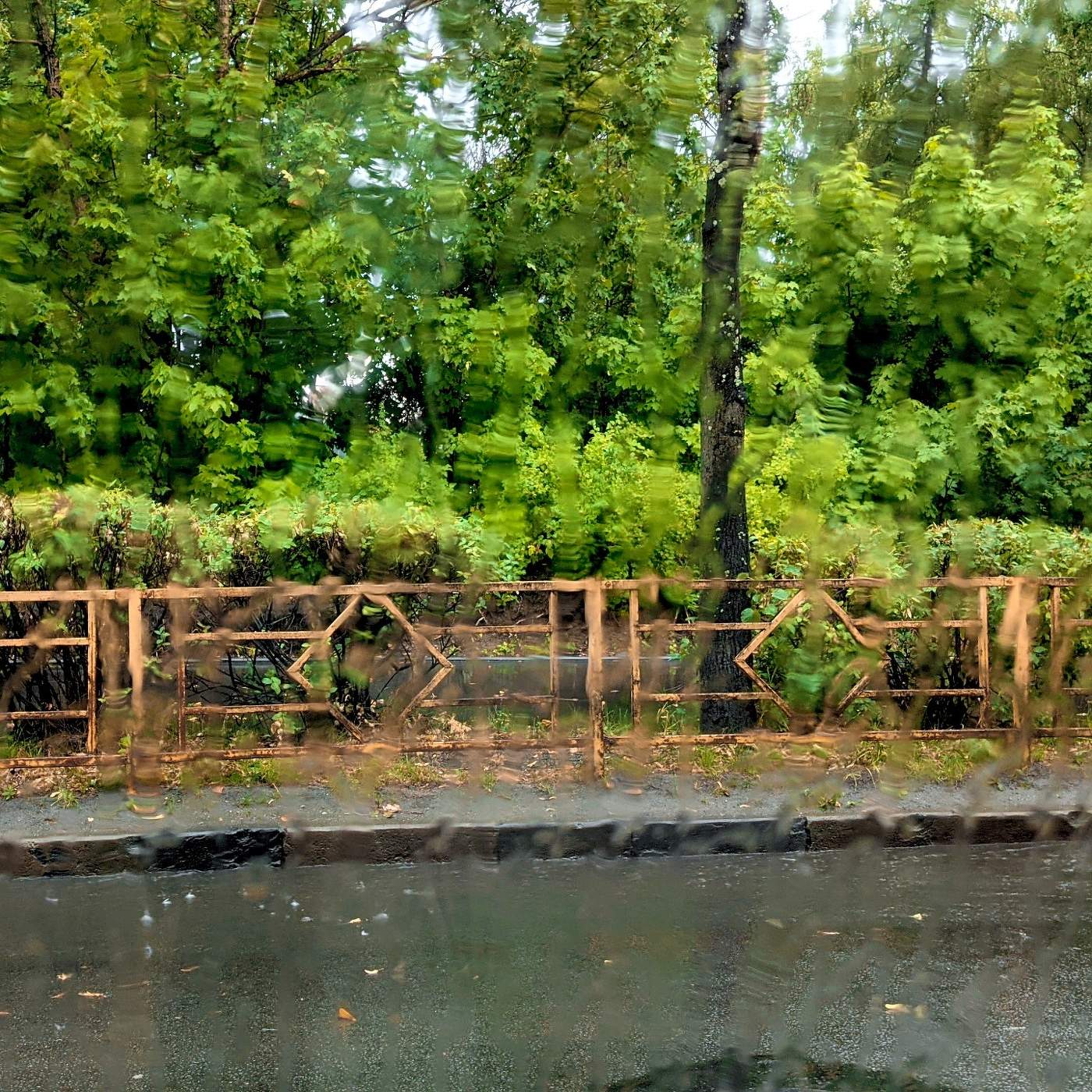 Предвкушение