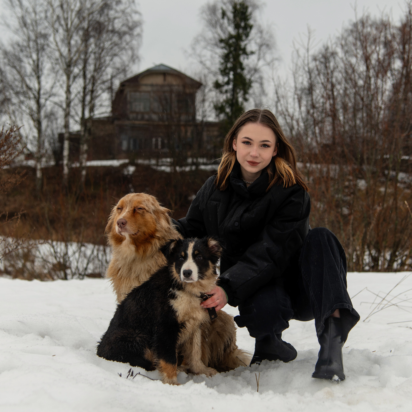 Саша с собаками